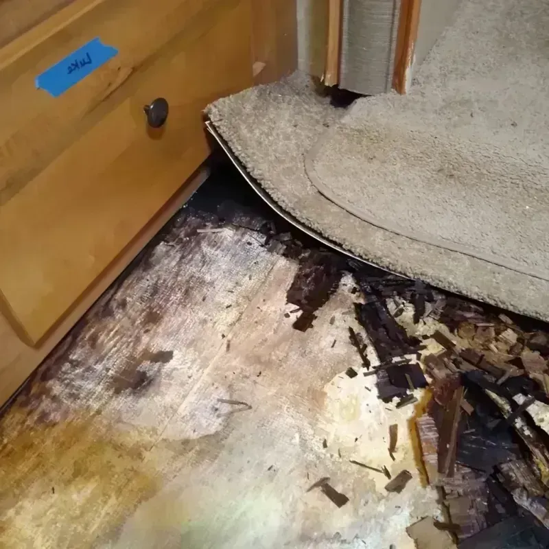 Wood Floor Water Damage in Wells, MN